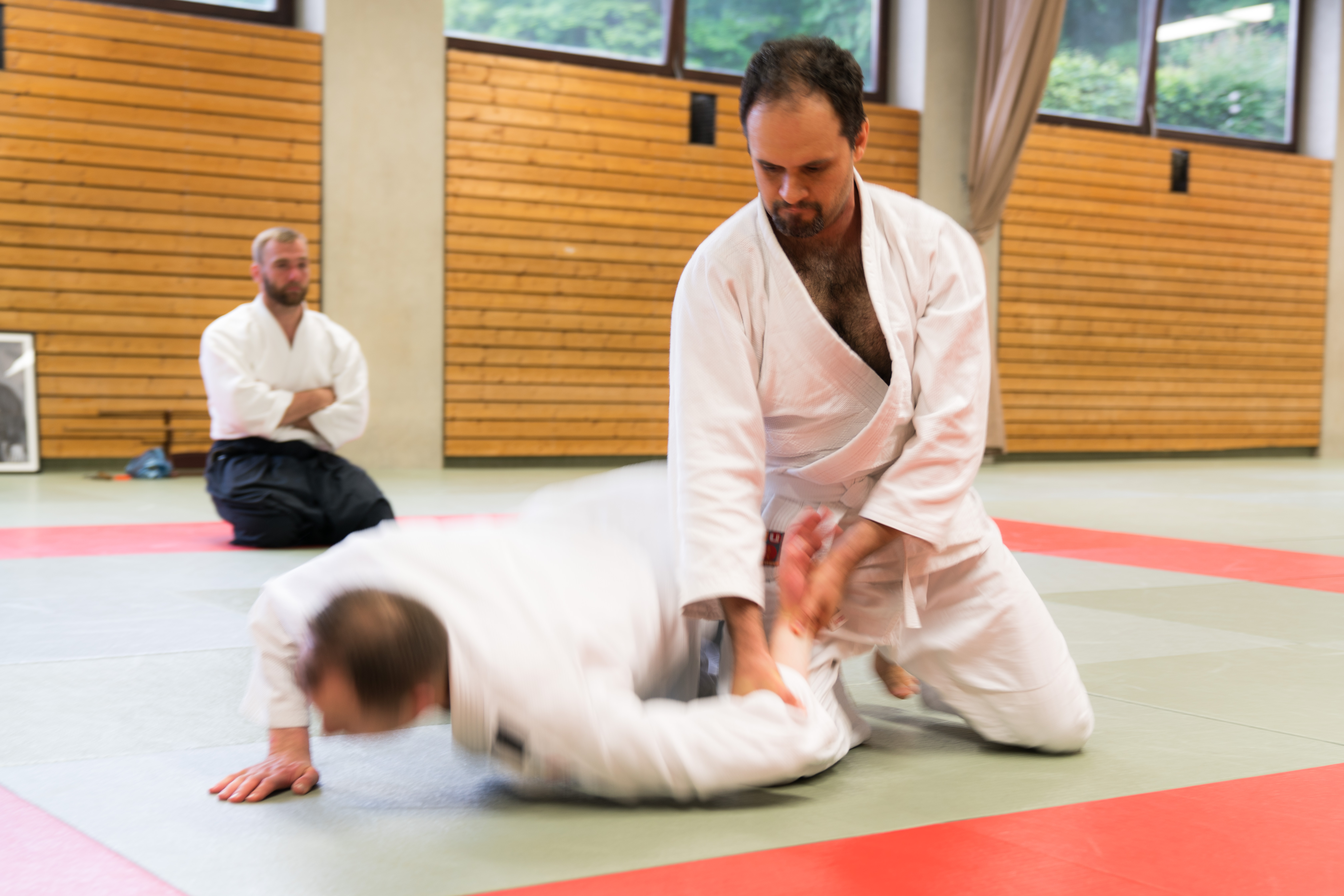 Bilder von unseren Trainings und Seminaren